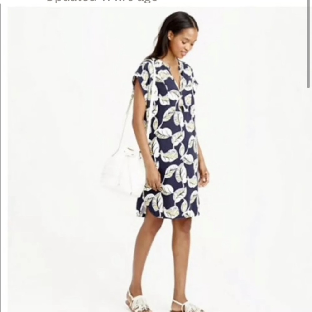 J crew dress